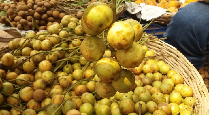 লটকনের যত উপকারিতা